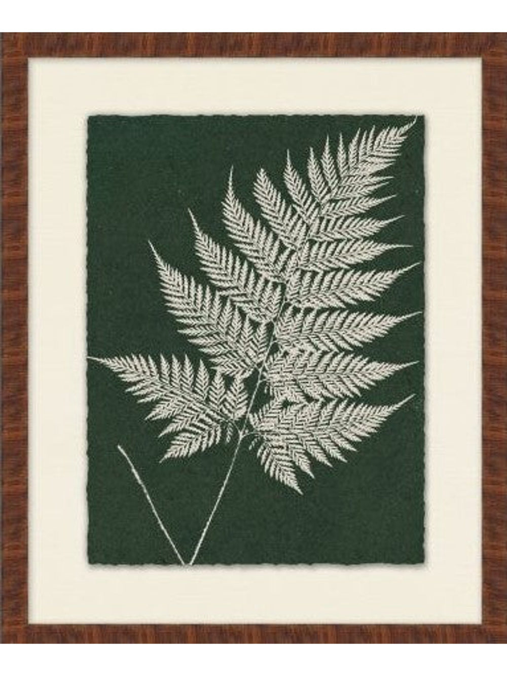 Leaf Impressions 4