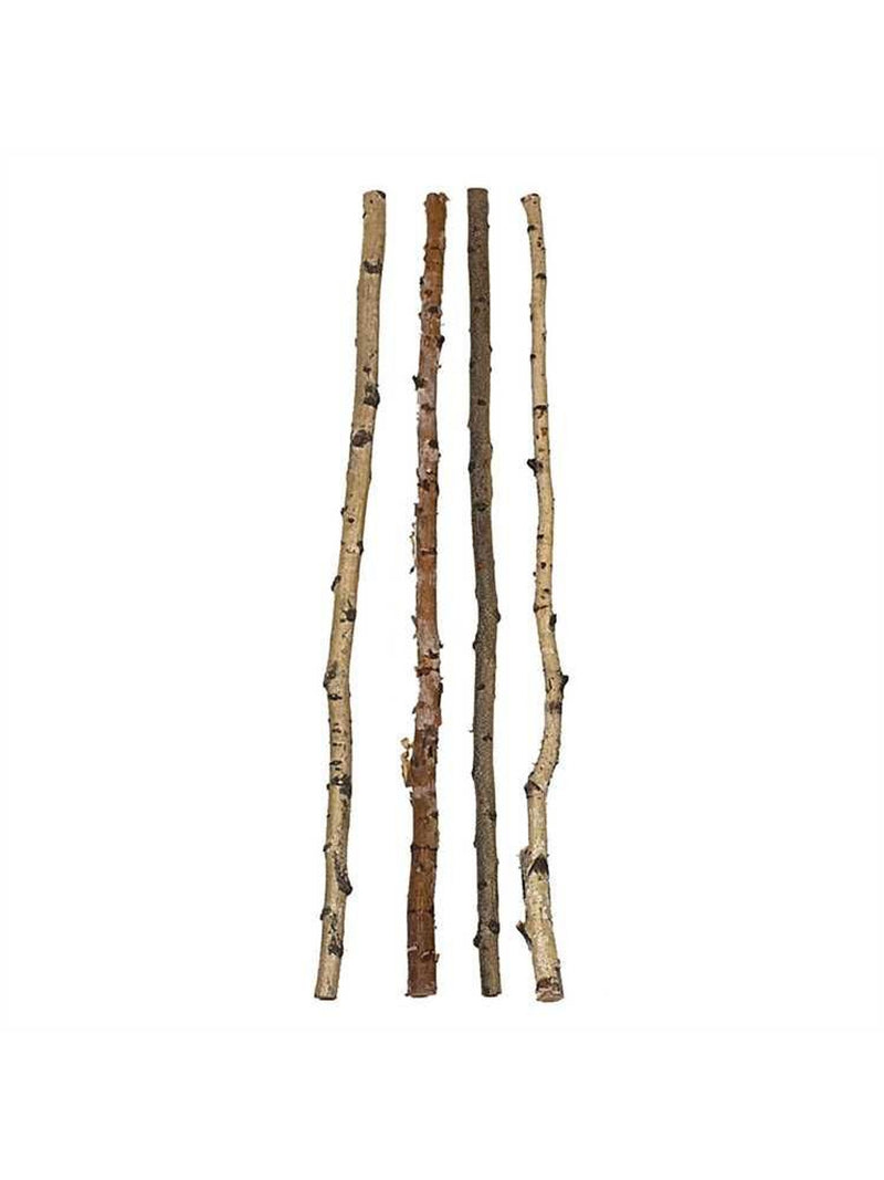 Birch Wood Branch