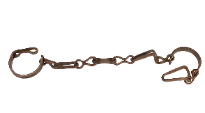 Oxen Shackle