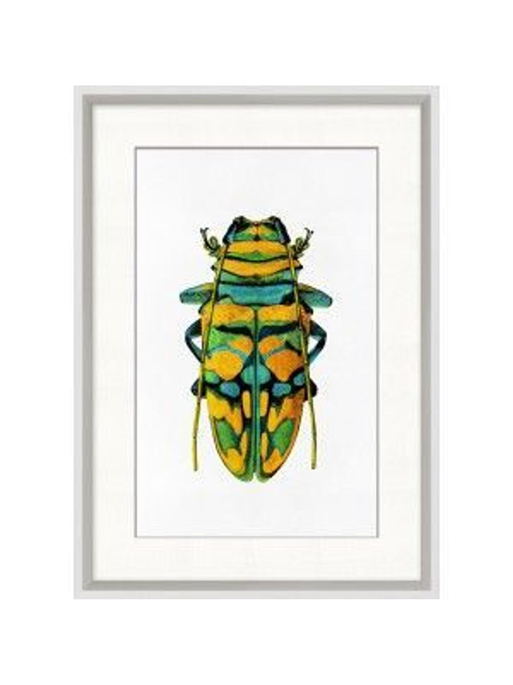 Rainbow Insects 6