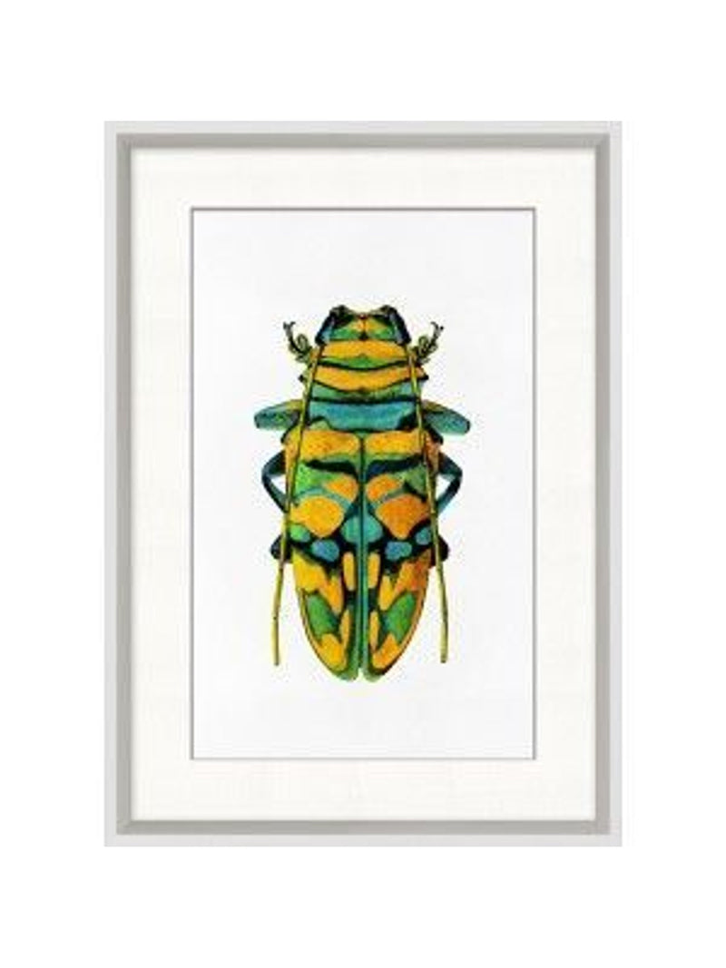 Rainbow Insects 6