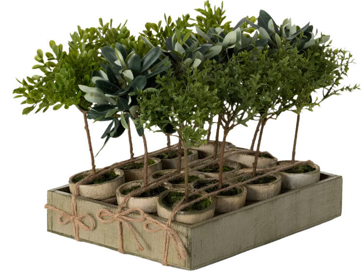 Rustic Potted Mini Trees