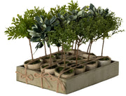 Rustic Potted Mini Trees