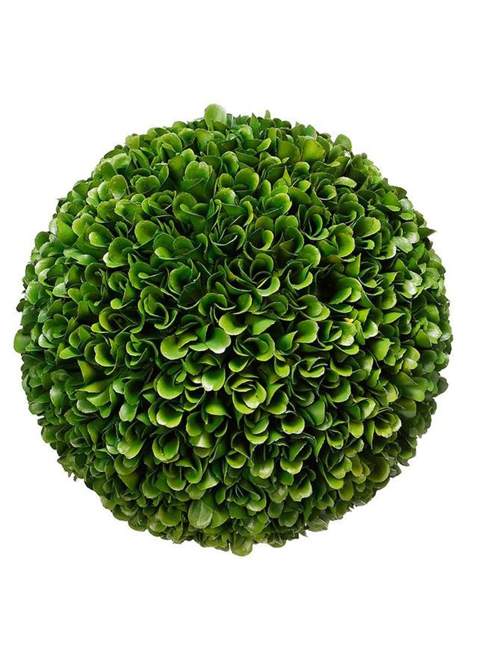 Bali Topiary Boxwood
