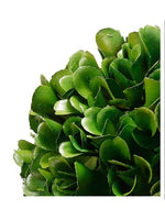 Faux Boxwood Boxed Topiary