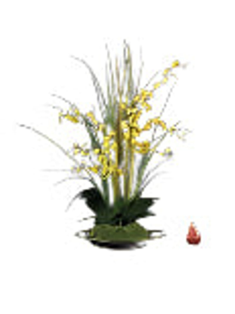 Yellow Dancing Orchid Garden