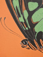 Close-up of a butterfly wing design with green, black, and orange patterns on a bright orange background.