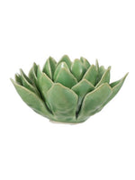 Blooming Artichoke