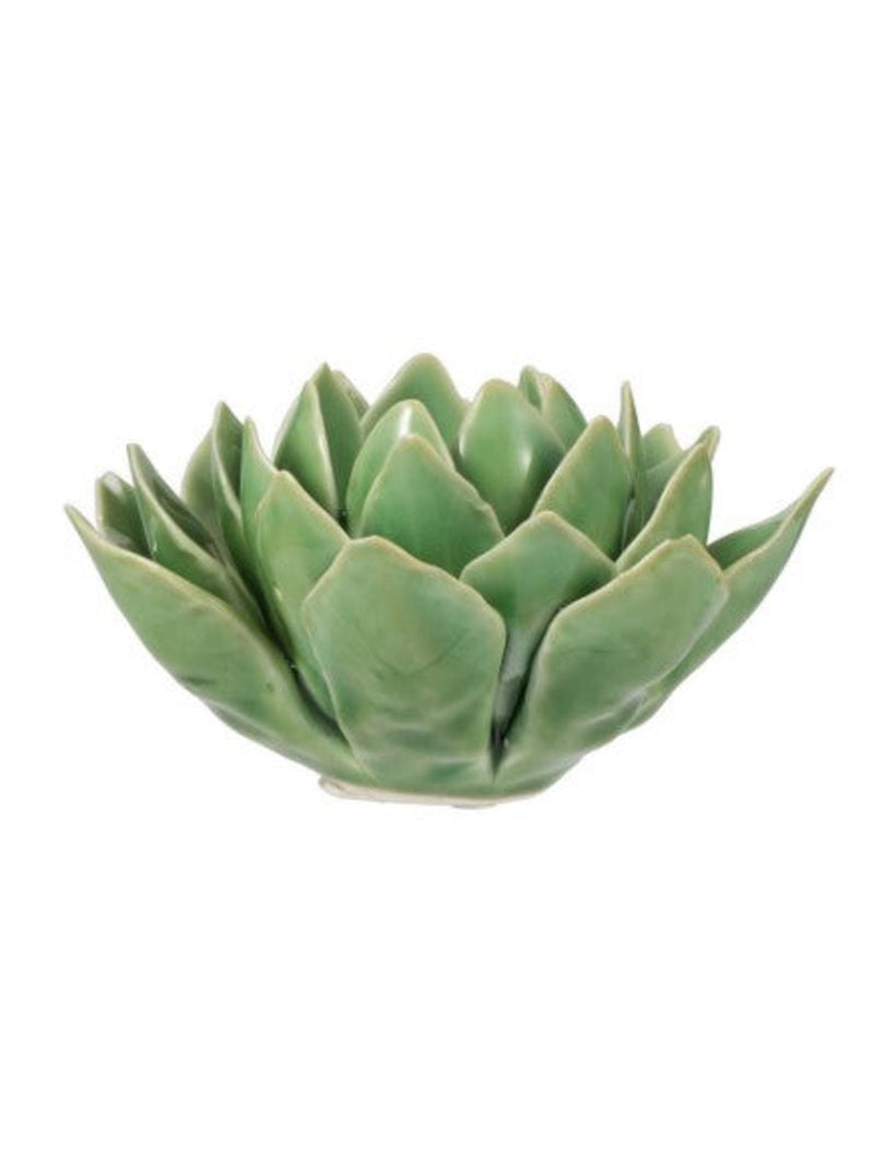 Blooming Artichoke