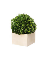 Faux Boxwood Boxed Topiary