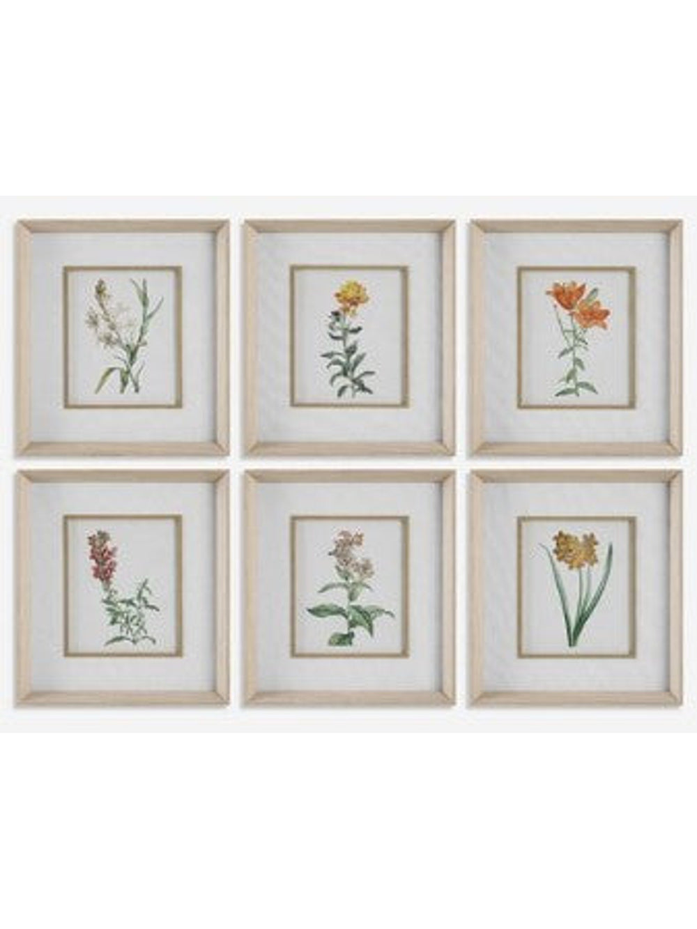 Classic Botanicals