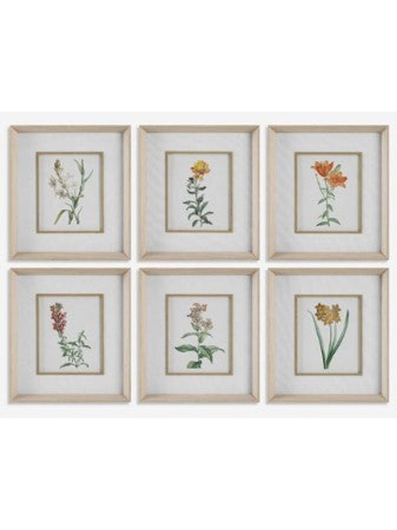 Classic Botanicals