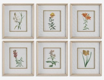 Classic Botanicals