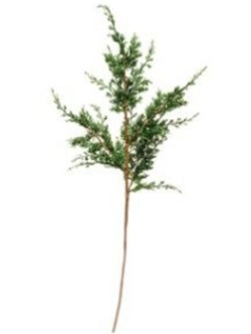 Faux Juniper Branch