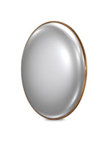 Convex Wall MIrror