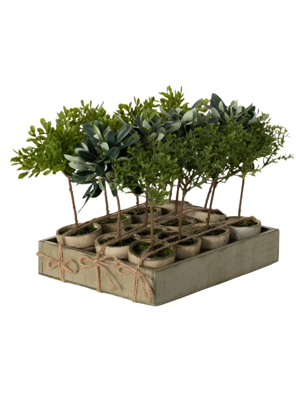Rustic Potted Mini Trees