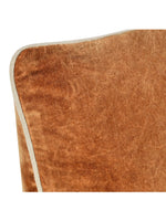 Heirloom Velvet Throw Pillow | Hazel 22"