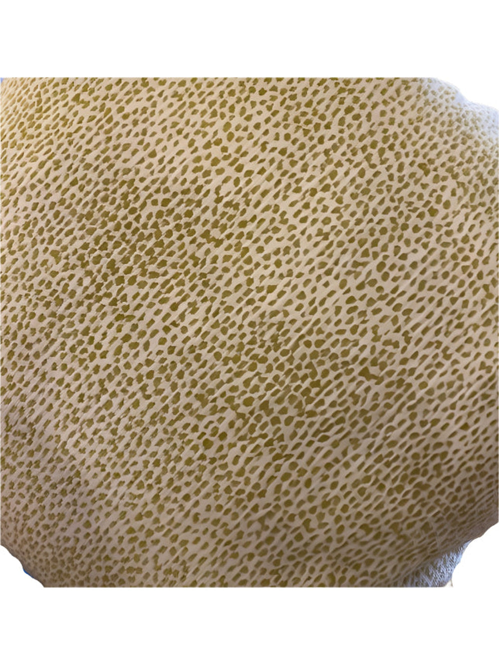 Siamese Kiwi 20" Pillow