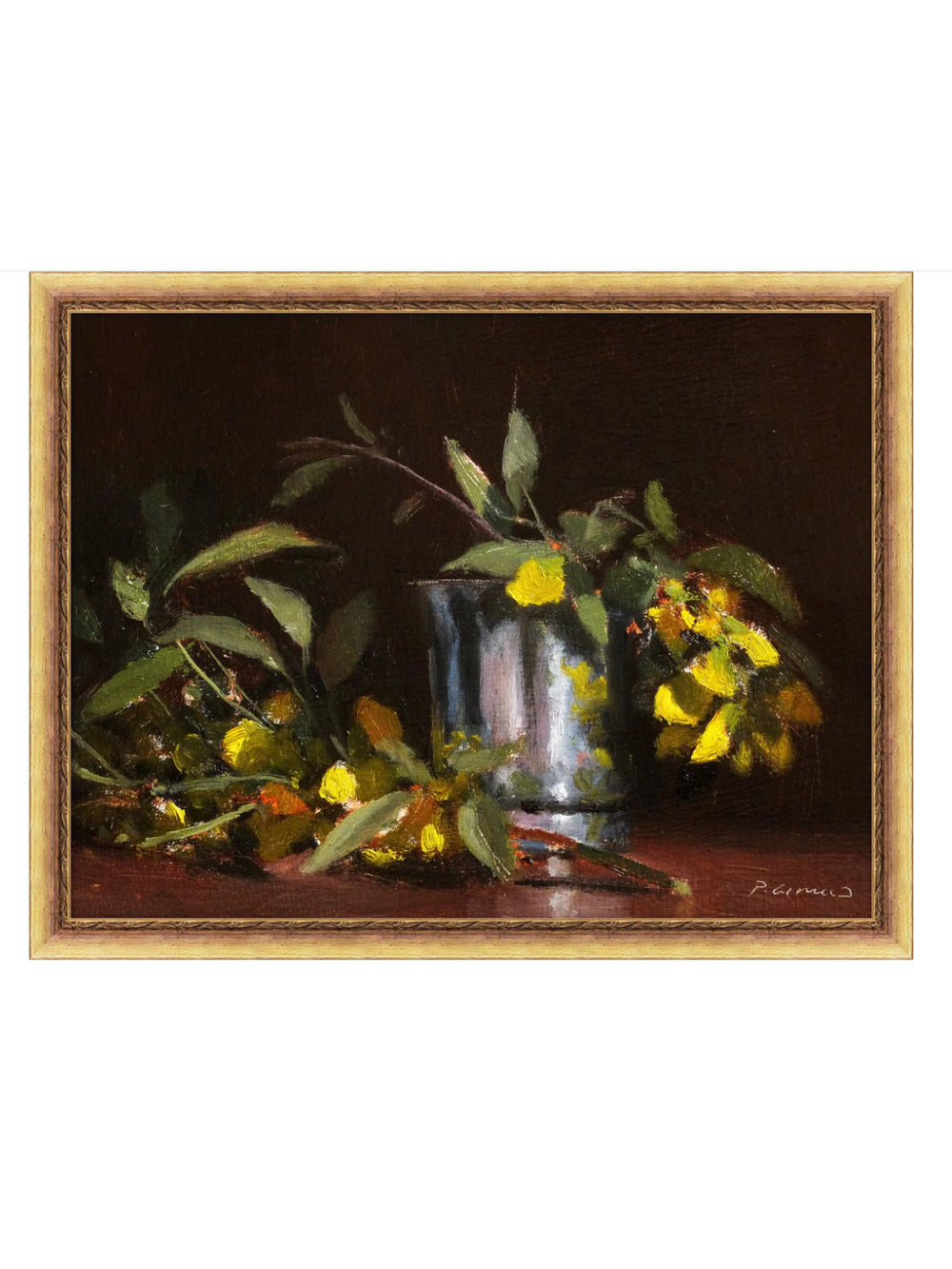 Fleurs Cytise