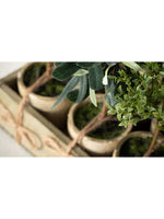 Rustic Potted Mini Trees