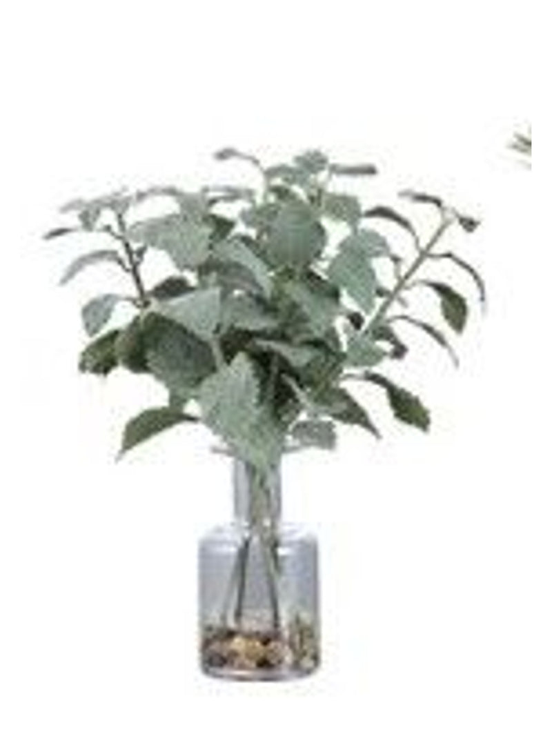 Ceci Kitchen Herb