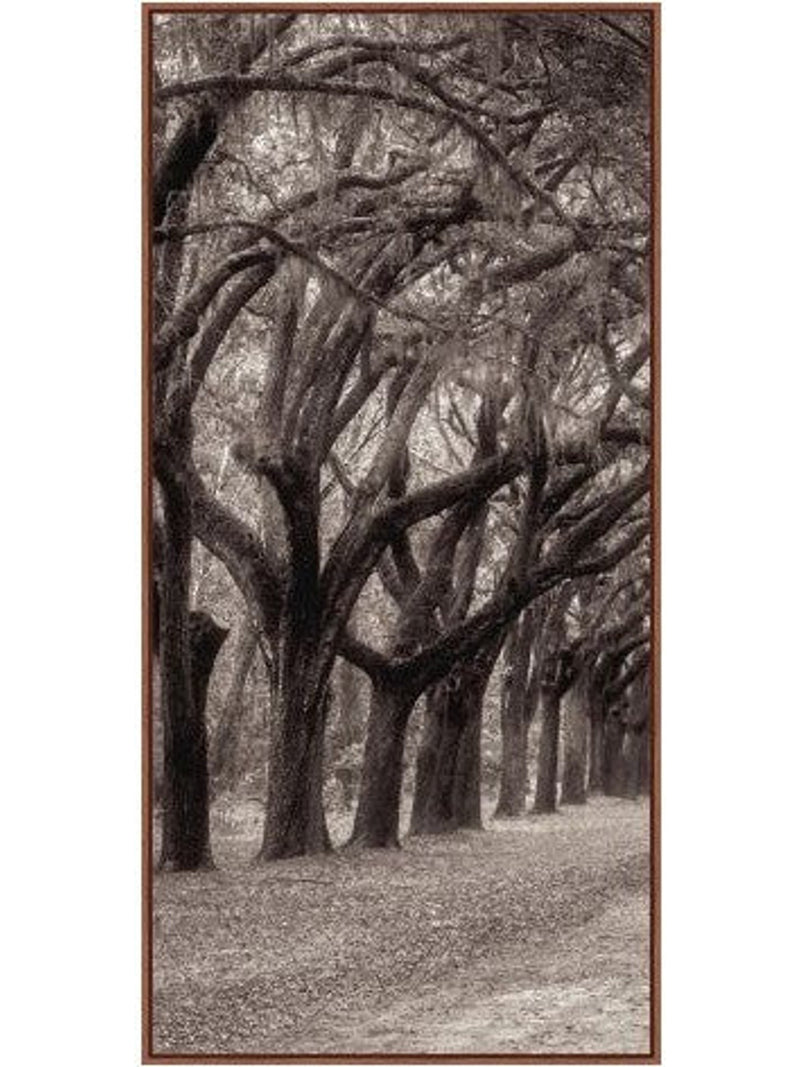 Nature's Arch Triptych
