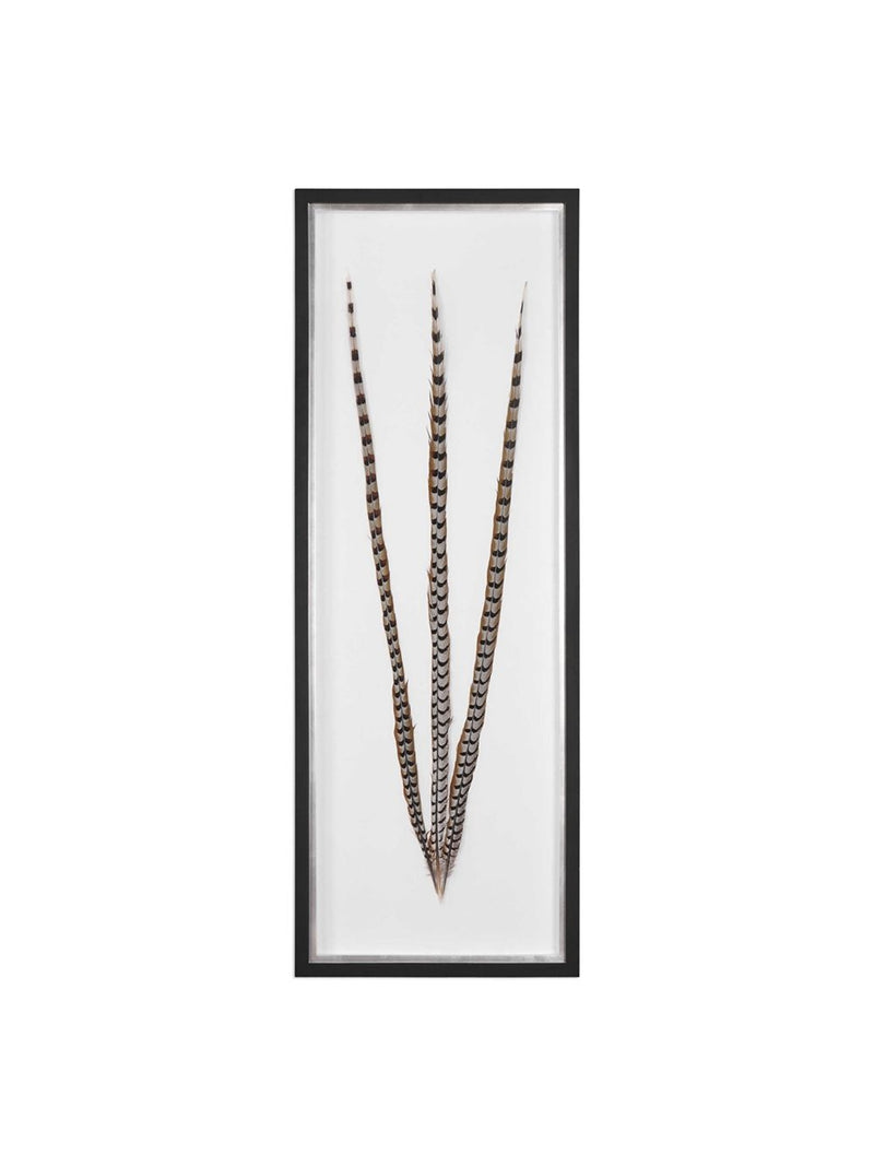 Mikado Shadow Box
