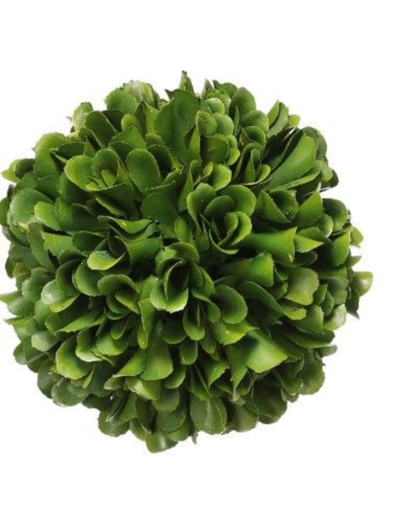 Bali 4" Topiary Boxwood