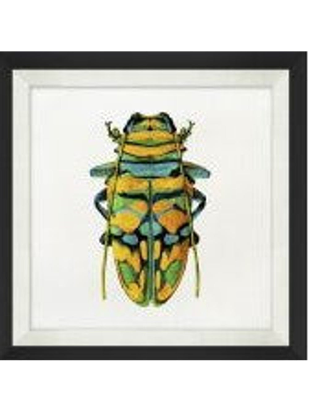 Graphic Insects 3