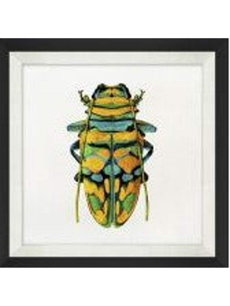 Graphic Insects 3