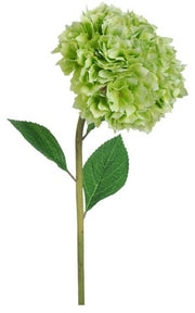 Hydrangea Stem w/Leaves | Green