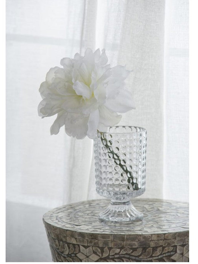 White Peony