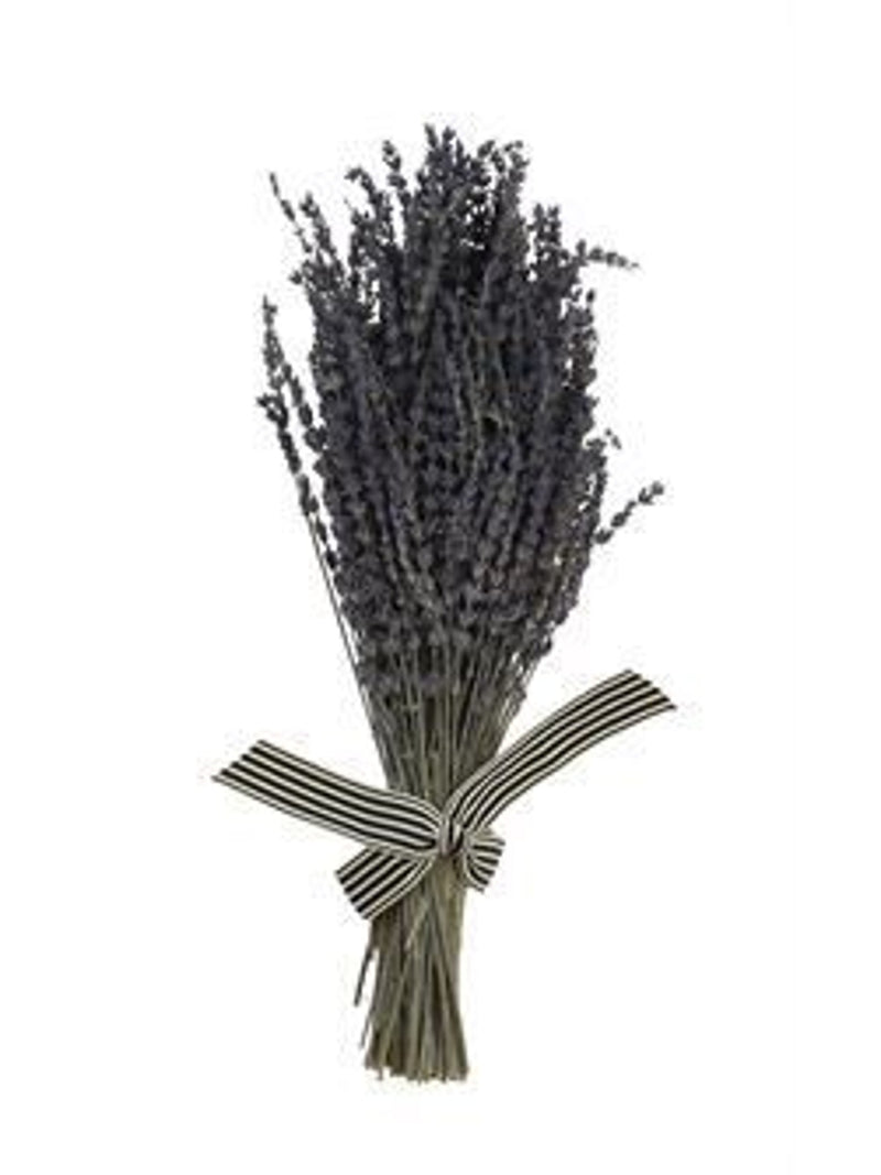 Natural Lavender Stems