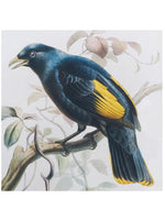 Bird Artwork w/Mirror Frame