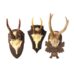 Antler Trophy Reproduction