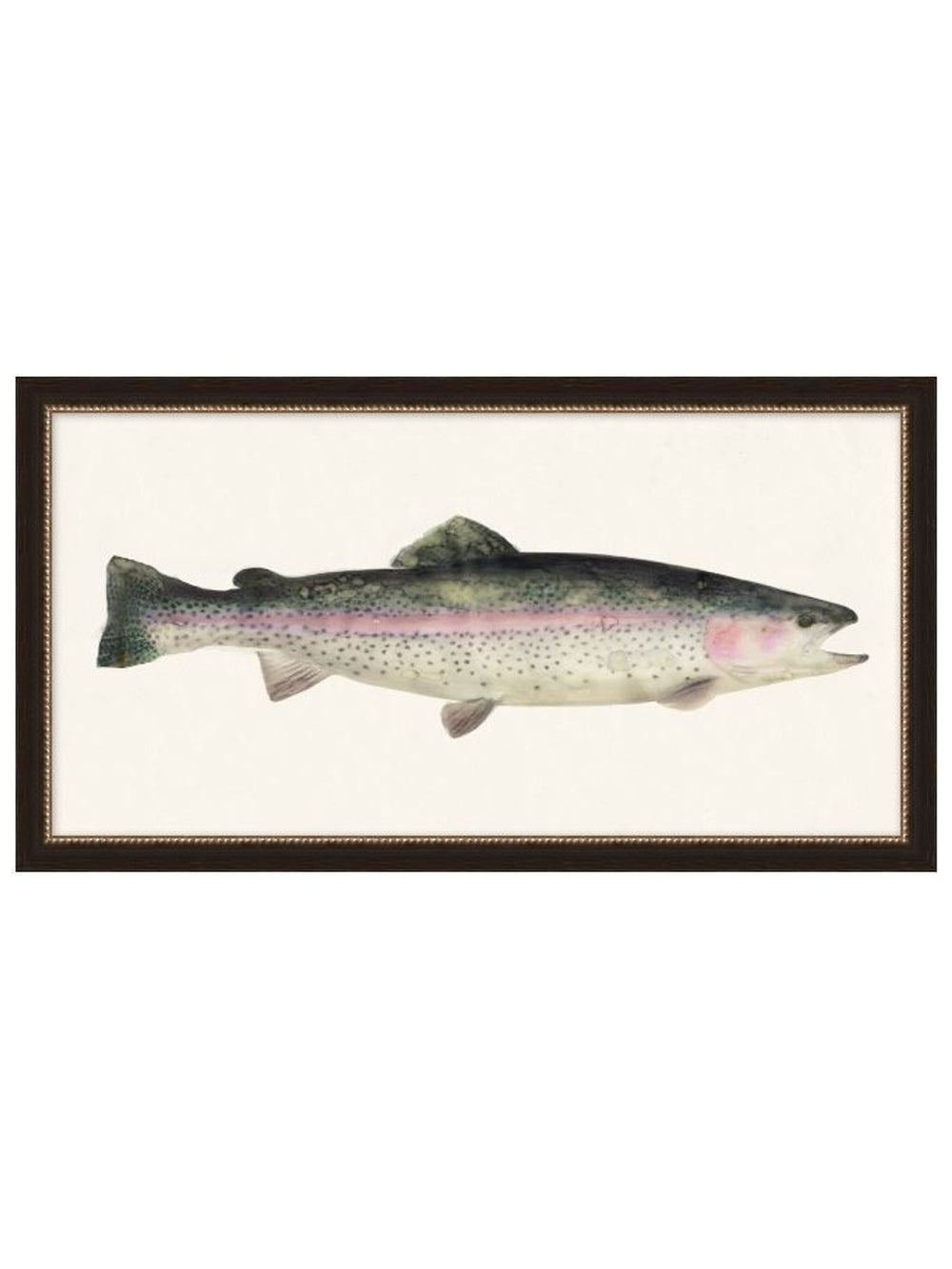 Fresh Catch 6, Art