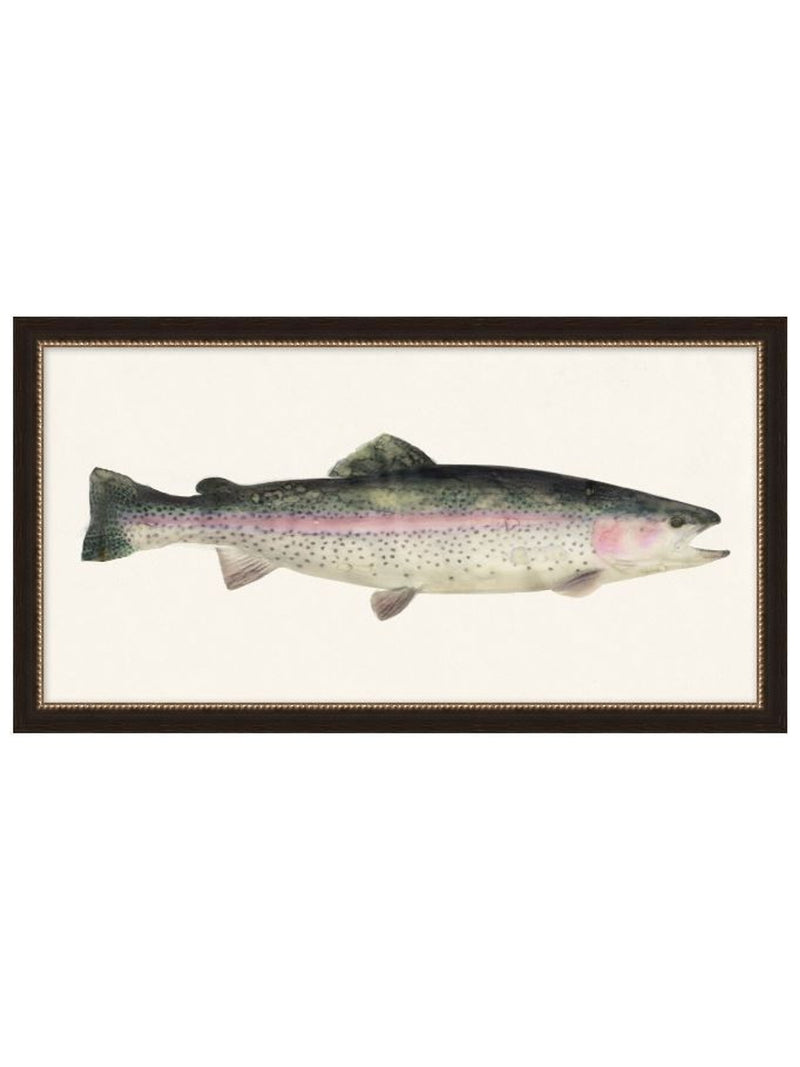 Fresh Catch 6, Art