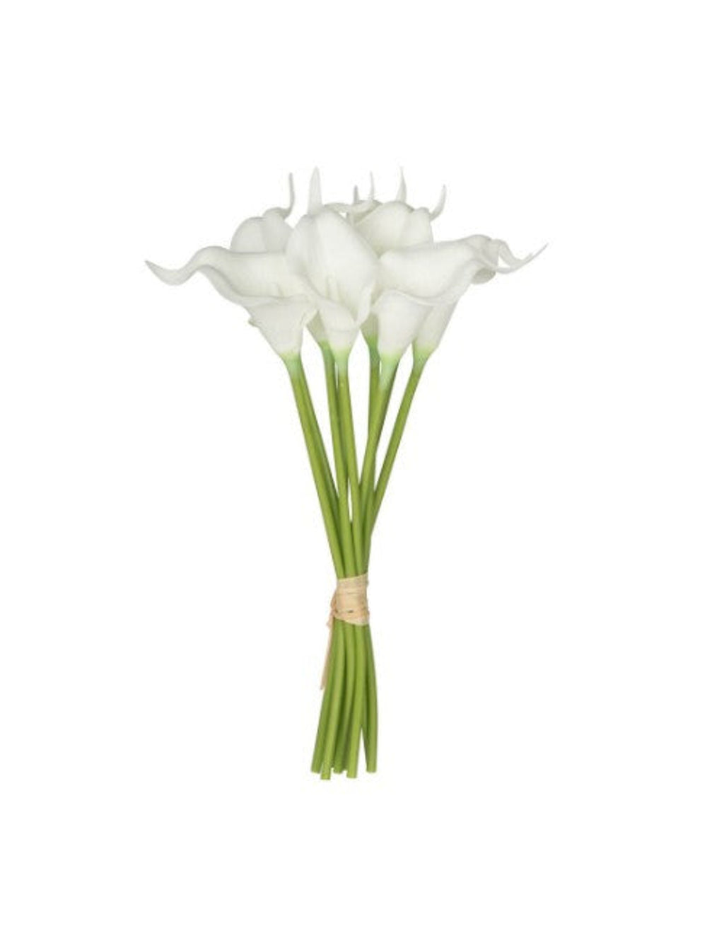 9Pcs/Bunch Calalily | White