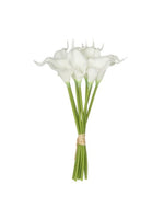 9Pcs/Bunch Calalily | White
