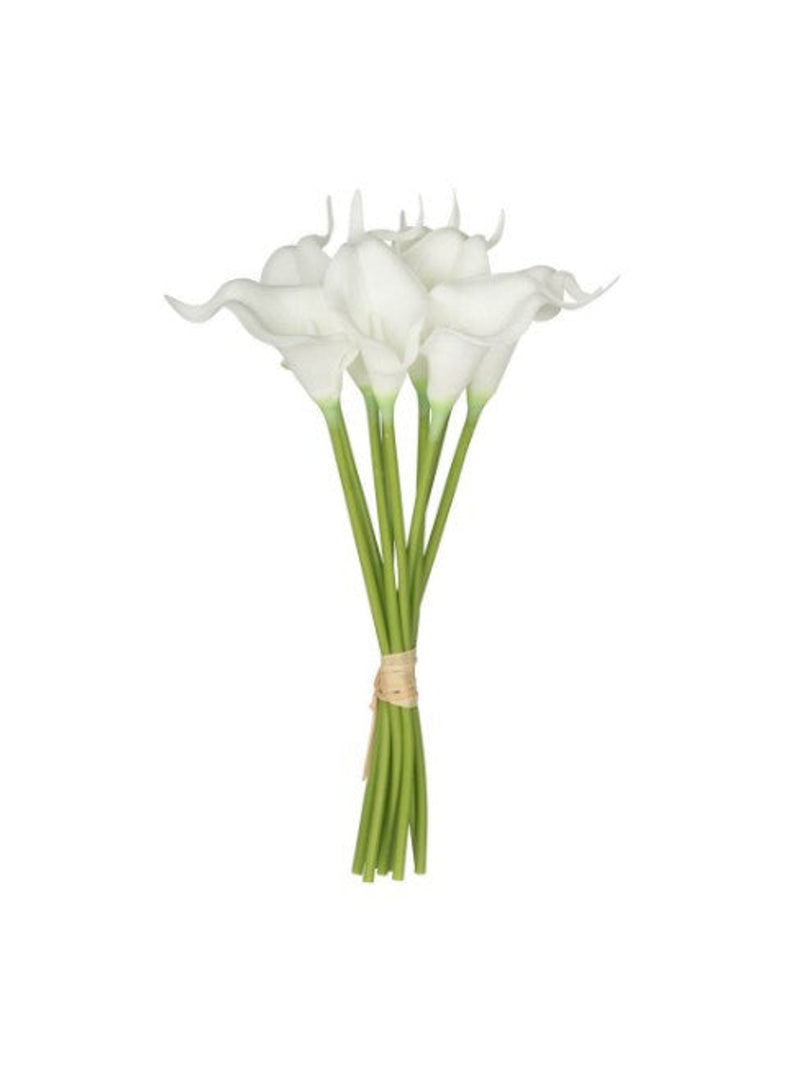 9Pcs/Bunch Calalily | White