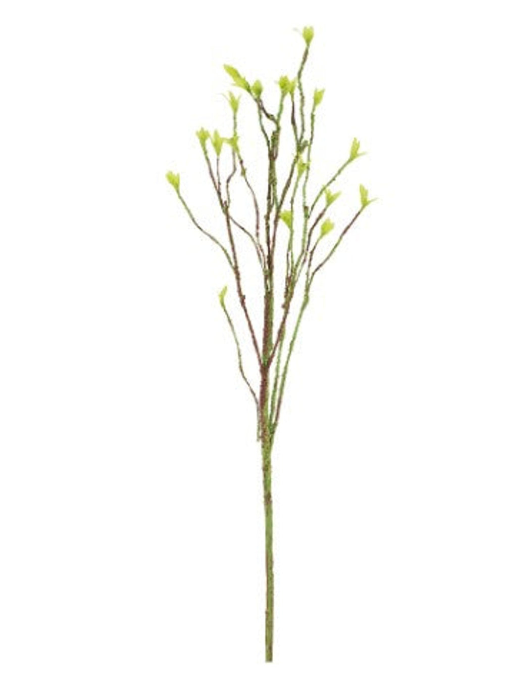 Branch Decor Stem