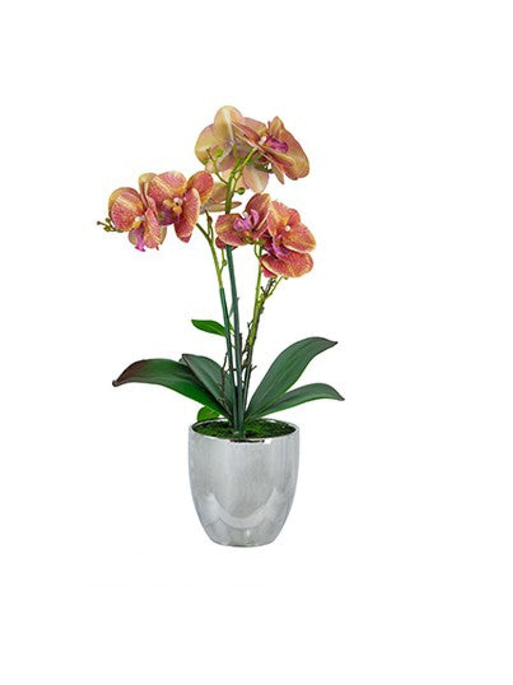 Real Touch Orchid