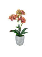 Real Touch Orchid