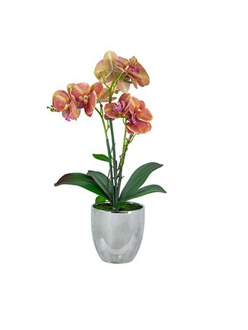 Real Touch Orchid