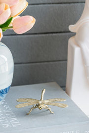 Gold Cast Iron Insects | Assorted