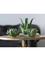 Blooming Artichoke