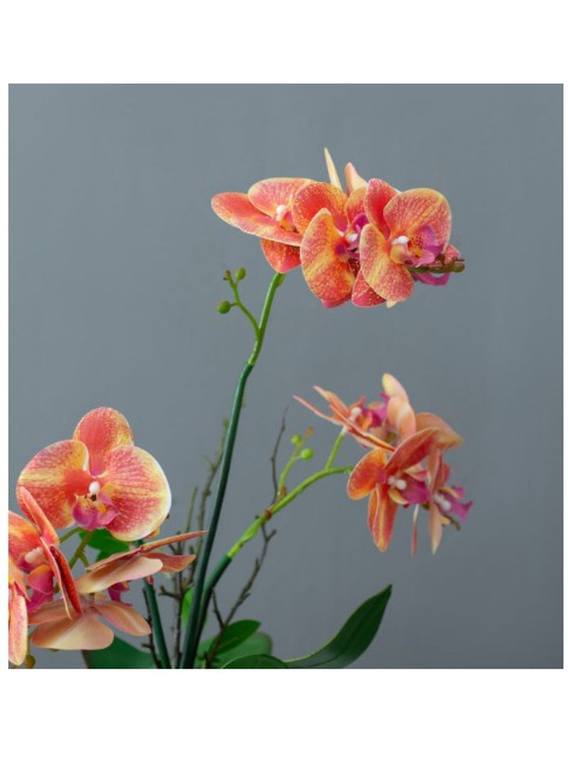 Real Touch Orchid