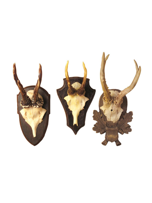 Antler Trophy Reproduction