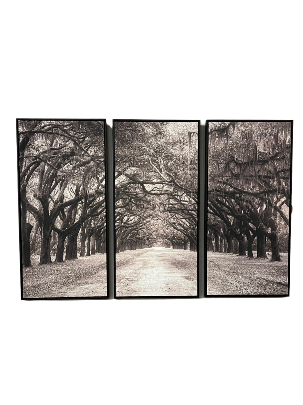Nature's Arch Triptych