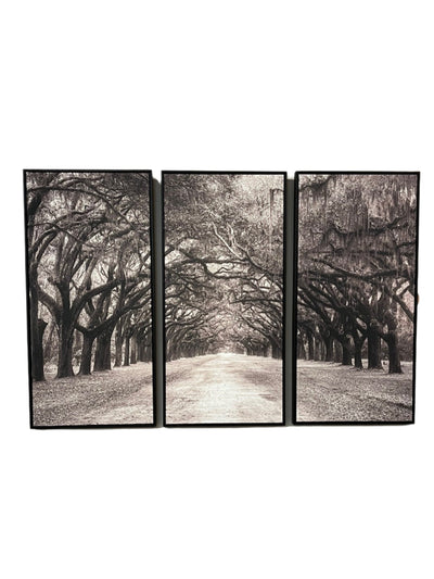 Nature's Arch Triptych